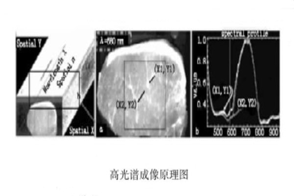 高光谱成像原理