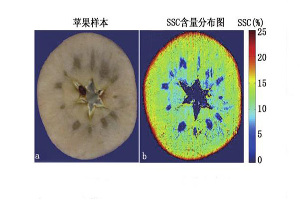 苹果可溶性含量检测