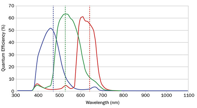 图 3. RGB 相机的量子效率曲线显示了红色、绿色和蓝色之间的重叠。 由爱特蒙特光学公司提供。