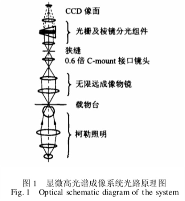 显微高光谱成像系统原理图