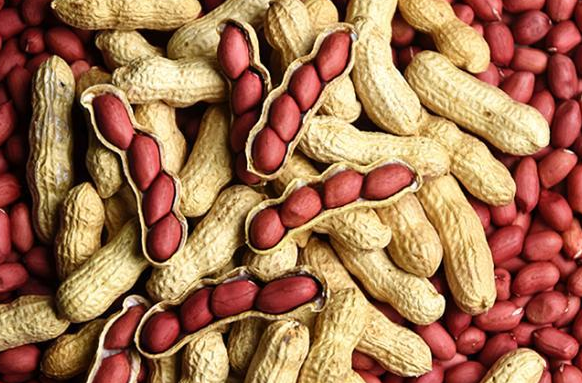高光谱相机成像技术对花生质量无损检测应用