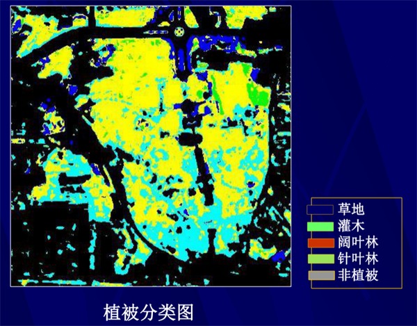 2. 植被分类图