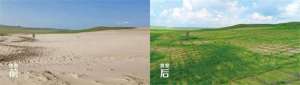 草原修复