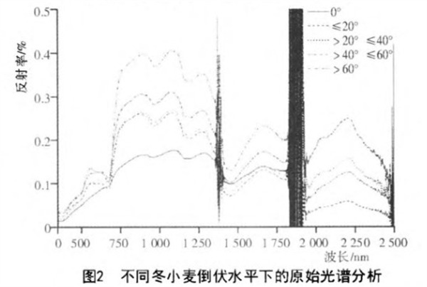 2.不同冬小麦倒伏水平下的原始光谱分析