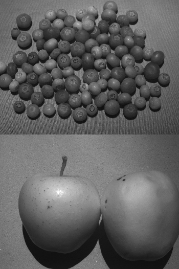 多光谱和高光谱成像在水果检测中的应用