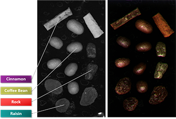 Teledyne Imaging 等短波红外相机可以帮助检测食品分选应用中的水分。