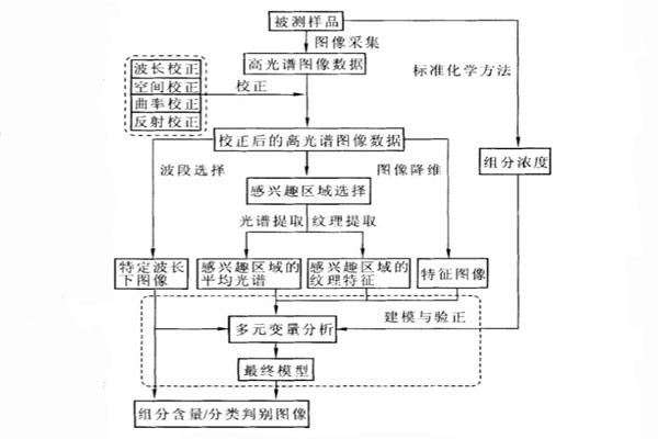 高光谱图像数据的典型分析流程
