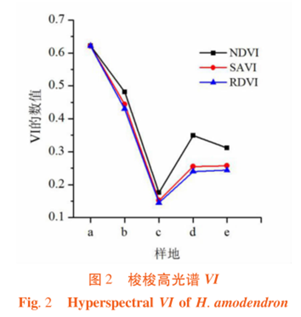 高光谱遥感在荒漠林植被指数（VI）比较中的应2
