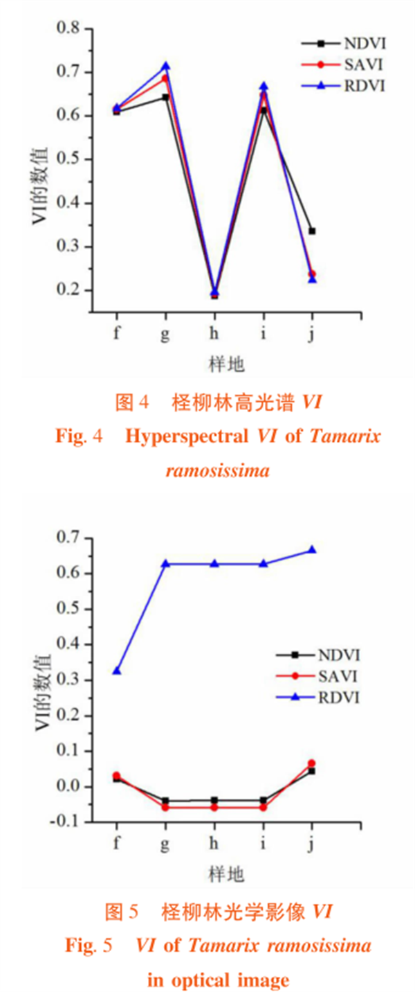 高光谱遥感在荒漠林植被指数（VI）比较中的应用4