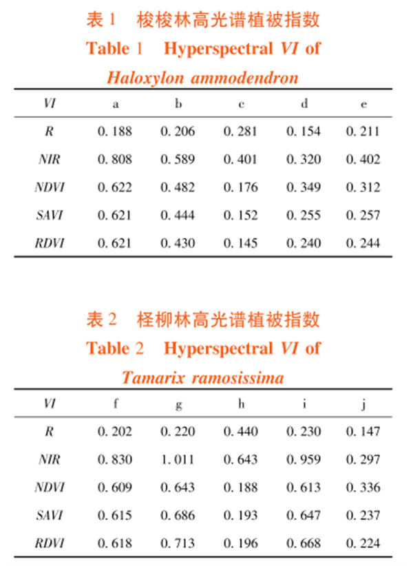 高光谱遥感在荒漠林植被指数（VI）比较中的应用6