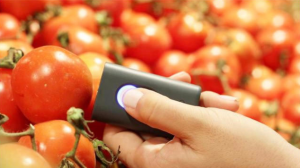高光谱成像技术在食品安全检测中的应用