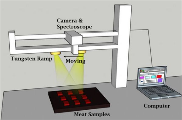 高光谱成像仪在牛肉分类中的应用2