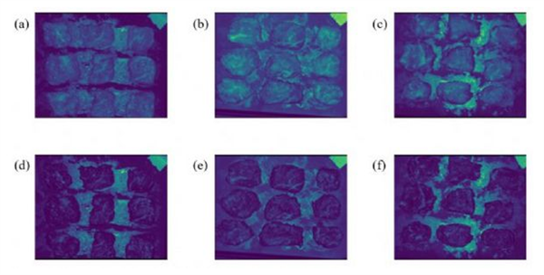高光谱成像仪在牛肉分类中的应用3