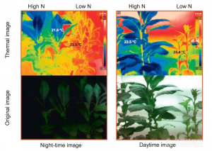 高光谱CCD相机：植被特征提取的科研创新