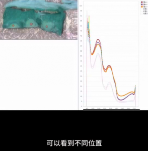 高光谱成像技术在肉质测量中的应用探索