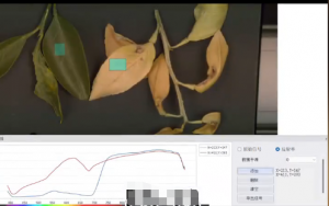 如何利用高光谱相机技术对柑橘冻伤进行分类识别