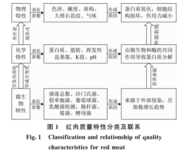 红肉质量高光谱无损检测研究
