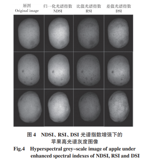 基于高光谱成像的苹果损伤检测方法4