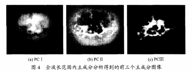 高光谱成像技术检测柑橘果锈4
