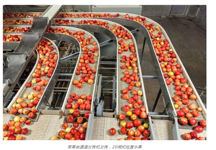 可见光高光谱相机检测食品