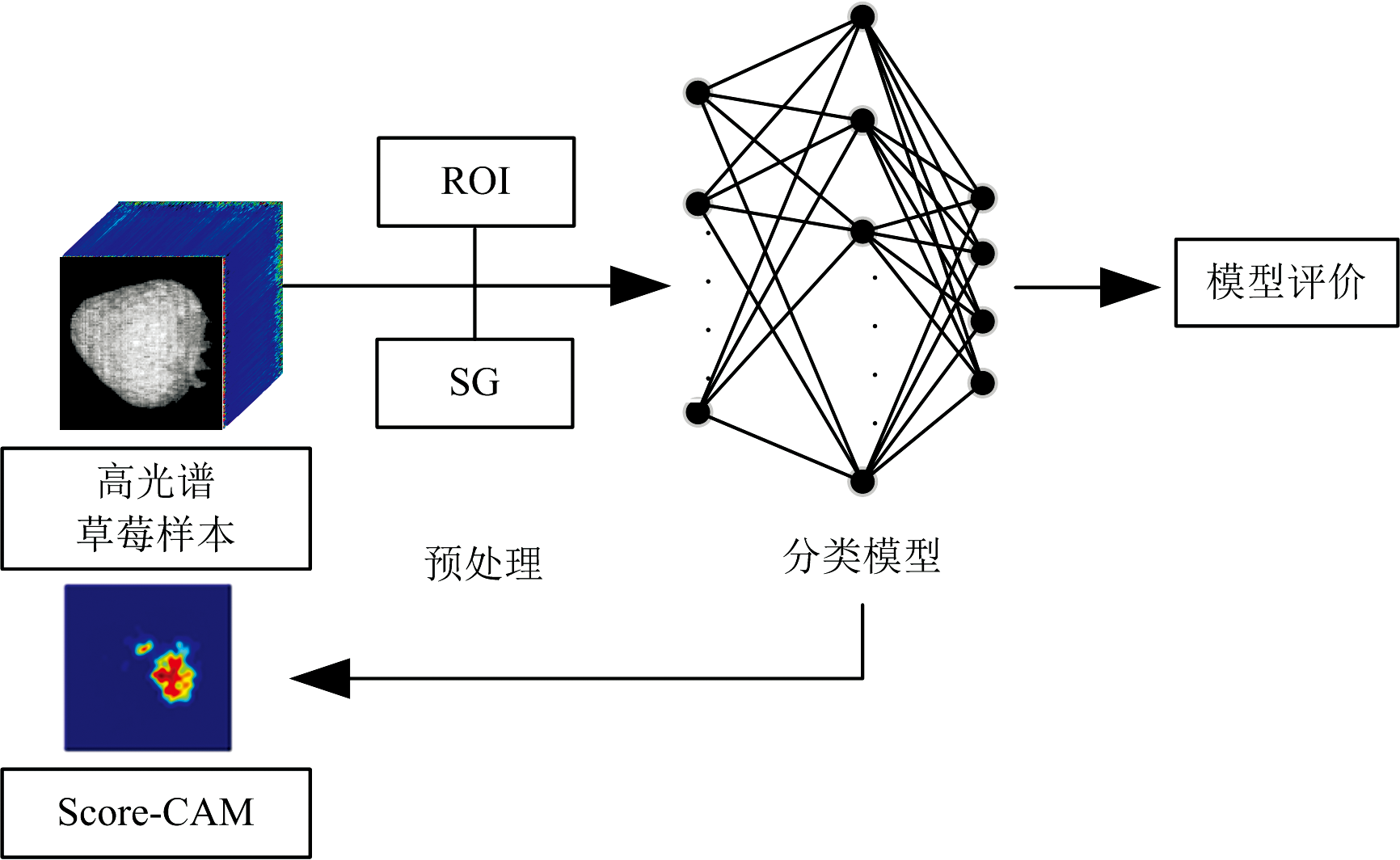 草莓缺陷检测及可视化——高光谱成像技术
