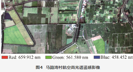 雄安新区马蹄湾村航空高光谱遥感影像分类数据集4