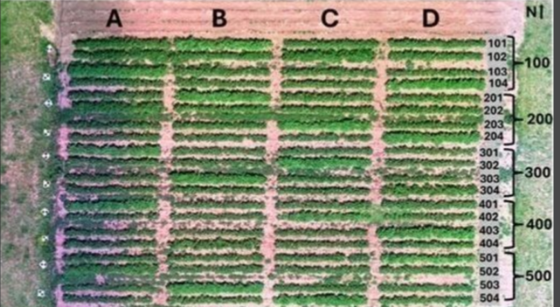 高光谱病虫害防治