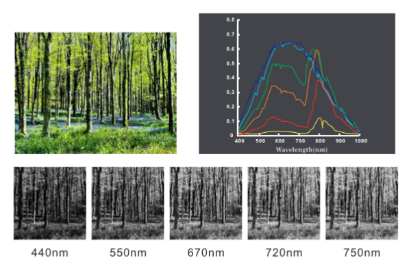 SF500无人机高光谱成像系统的行业应用及案例2