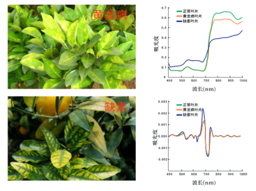 SF500无人机高光谱成像系统的行业应用及案例15