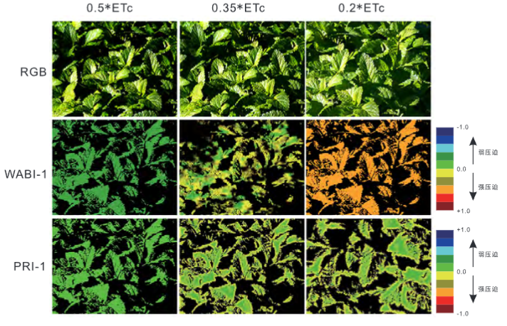 SF500无人机高光谱成像系统的行业应用及案例16