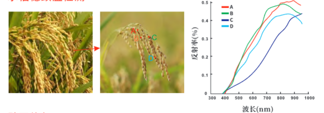 SF500无人机高光谱成像系统的行业应用及案例17