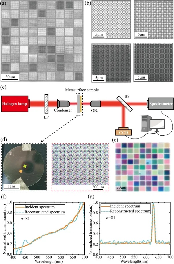 科学家在超构表面微型高光谱成像研究中取得进展2_副本