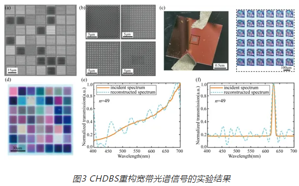 科学家在超构表面微型高光谱成像研究中取得进展3