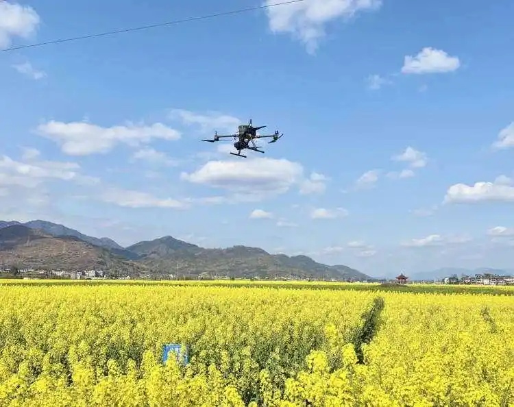 高光谱无人机赋能农业：油菜精准诊断新方案