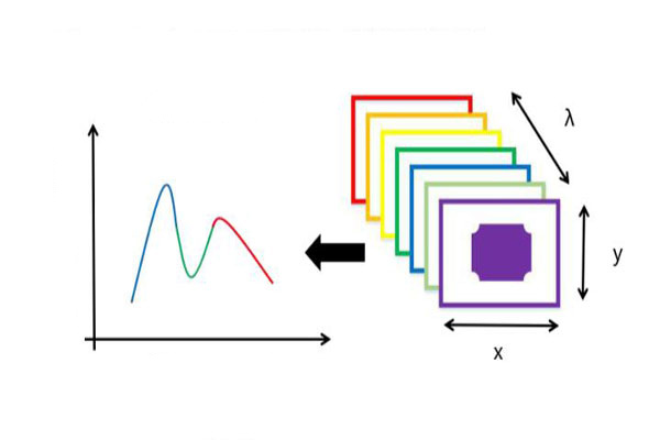 高光谱数据的选取及特征波长的提取方法