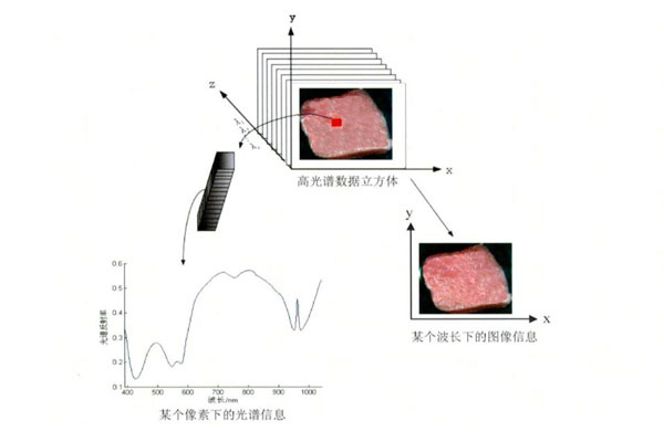 高光谱成像仪高光谱数据最为常见的几种预处理方法