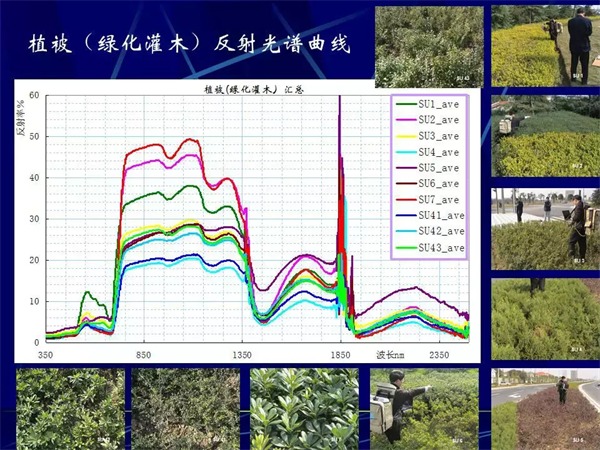 高光谱遥感技术在林业领域的应用和发展