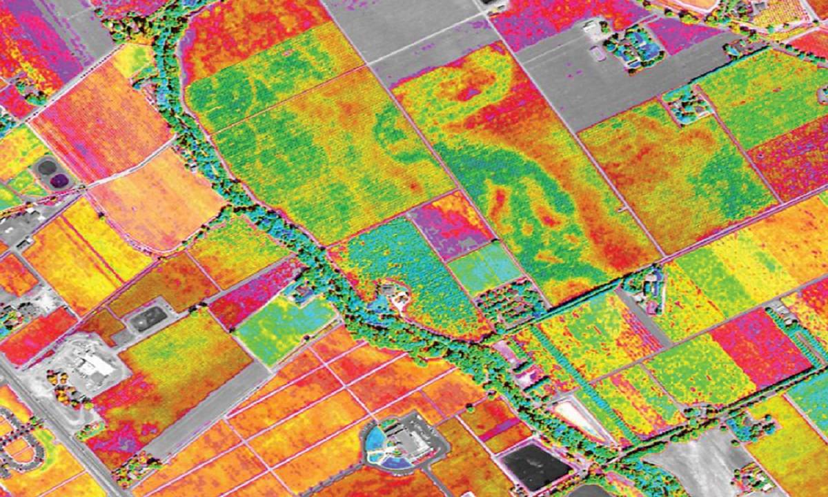 探索高光谱成像在精准农业中的潜力及其应用