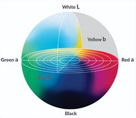 高光谱相机检测面包颜色实验