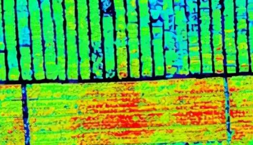 高光谱成像技术辅助农田光合作用监测