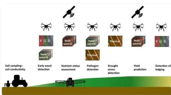 无人机高光谱遥感技术在精准农业领域的应用