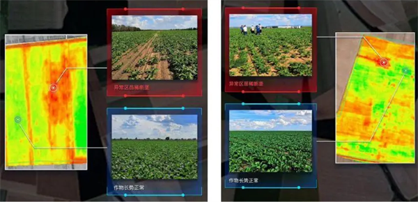 高光谱成像技术在精准农业中的应用及优势