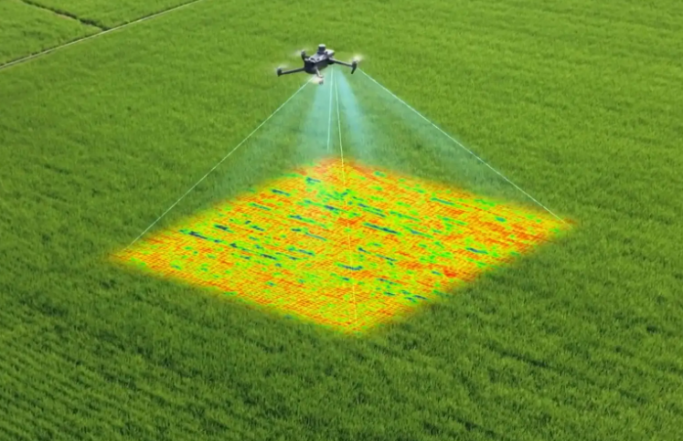 高光谱成像原理及其在农产品检测中的基础应用