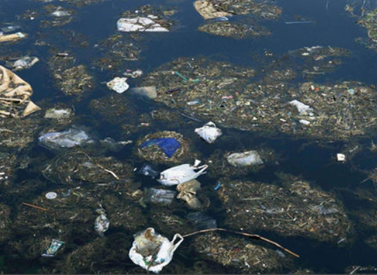 基于高光谱成像技术的水体污染物快速检测方法研究